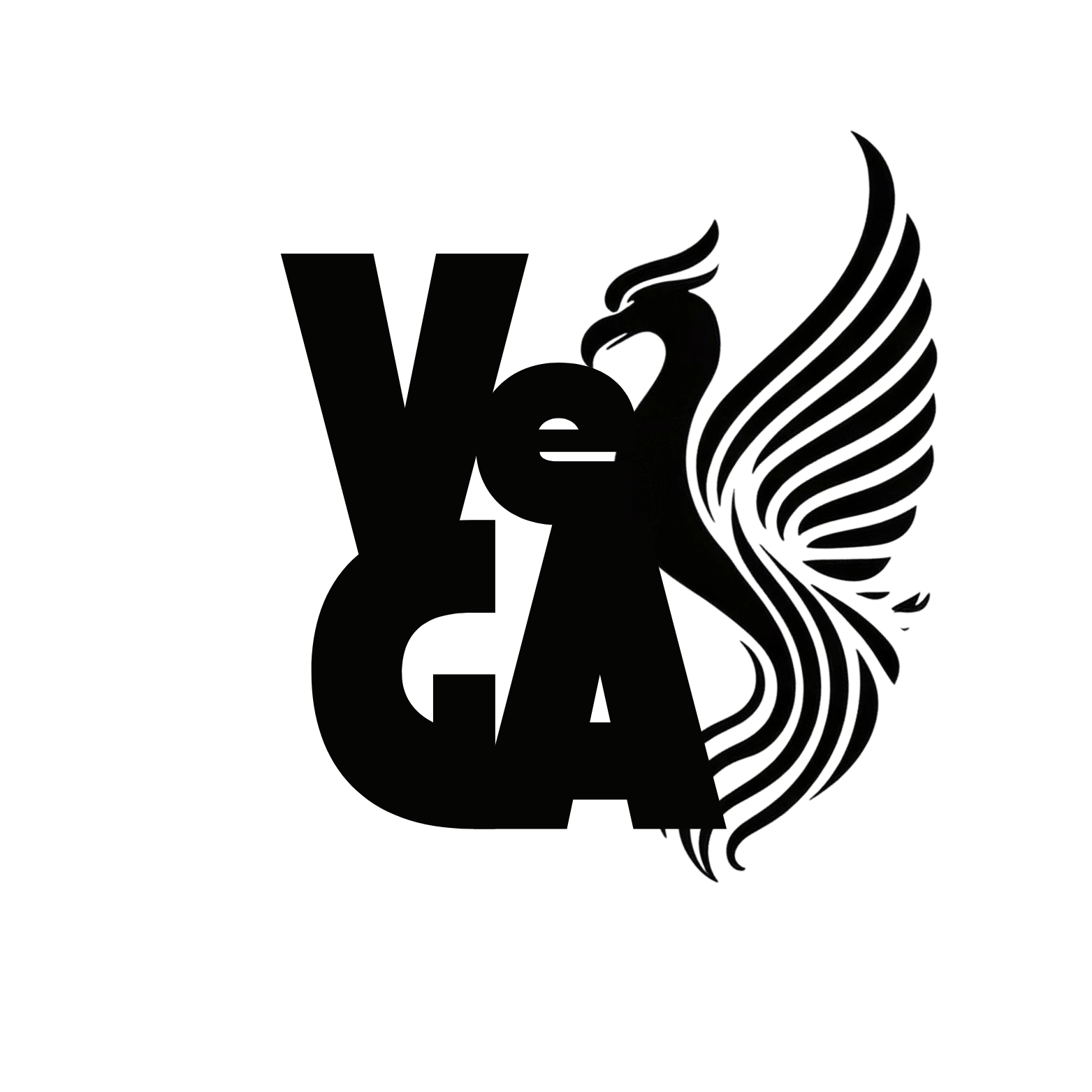 Logo Veiga Studios